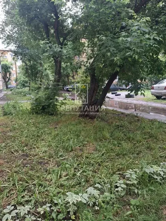 2-к кв. Свердловская область, Екатеринбург ул. Стахановская, 51 (42.0 ... - Фото 1