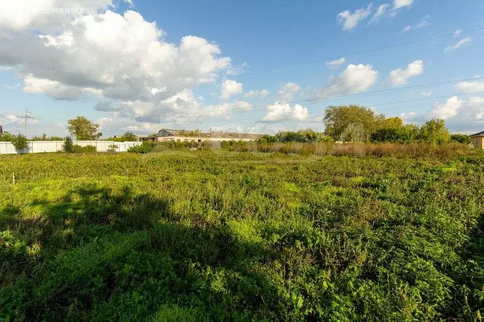 Участок в Тюменский район, село Луговое (7.2 м) - Фото 1