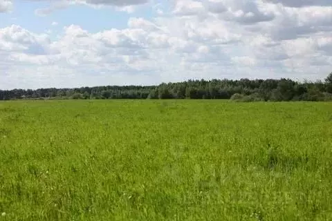 Участок в Краснодарский край, Курганинск Березка СТ, ул. Абрикосовая, ... - Фото 0