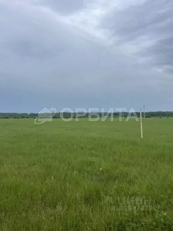 Участок в Тюменская область, Тюменский район, д. Коняшина  (4.42 сот.) - Фото 1