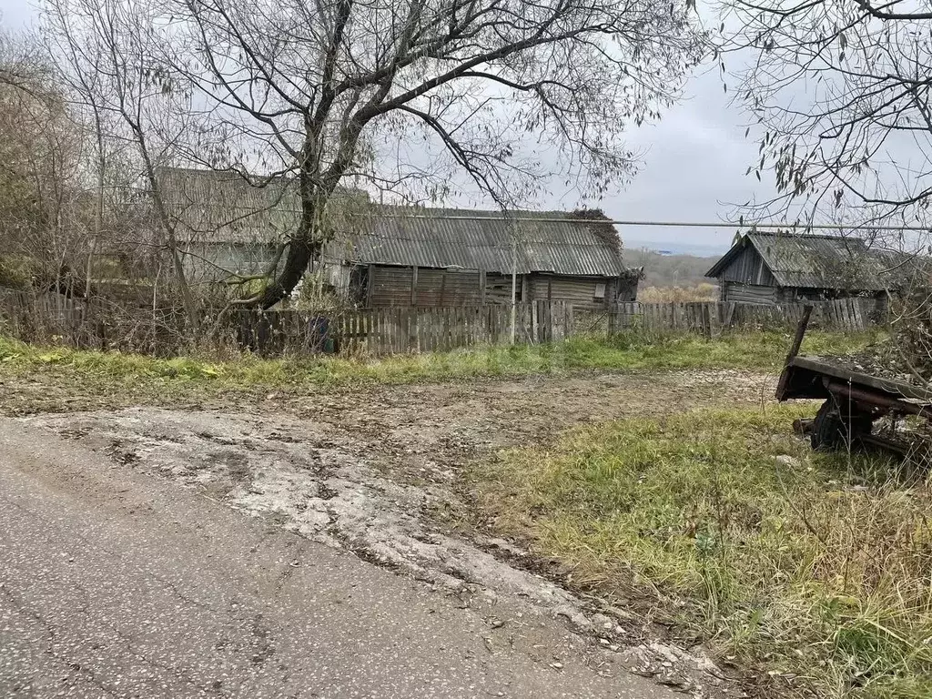 Участок в Мордовия, Кочкуровский район, с. Булгаково Центральная ул. ... - Фото 1