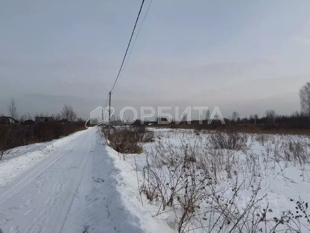 Участок в Тюменская область, Тюмень Царево садовое товарищество, ул. ... - Фото 1