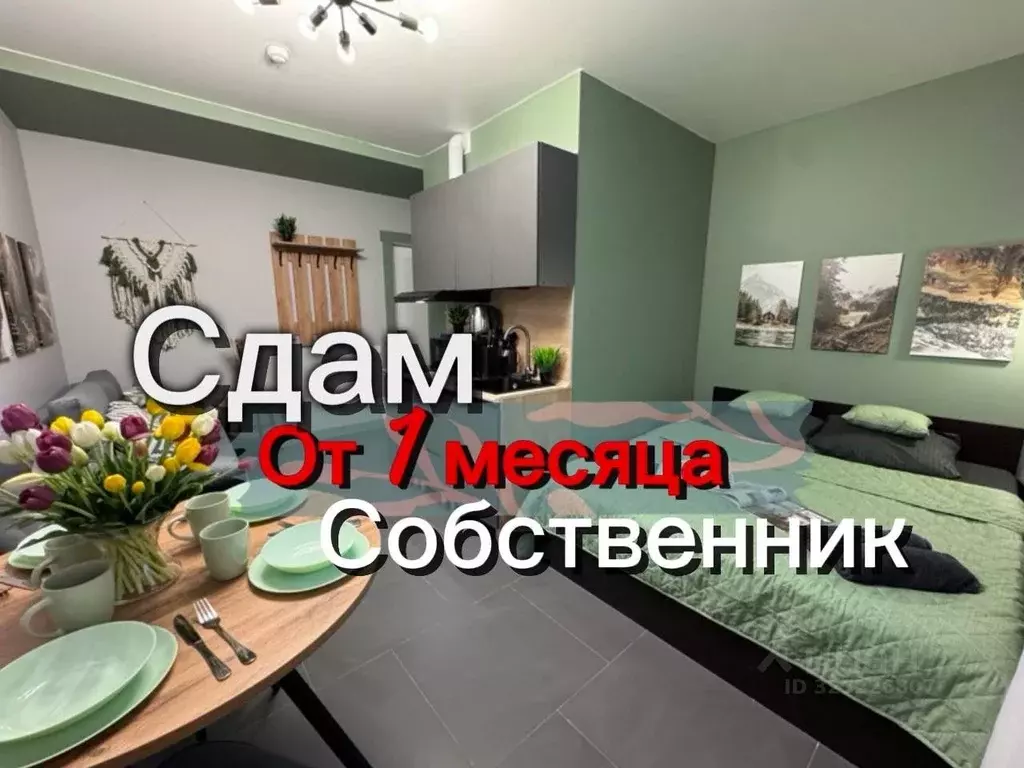 Студия Ростовская область, Ростов-на-Дону ул. 15-я Линия, 8 (22.0 м) - Фото 1