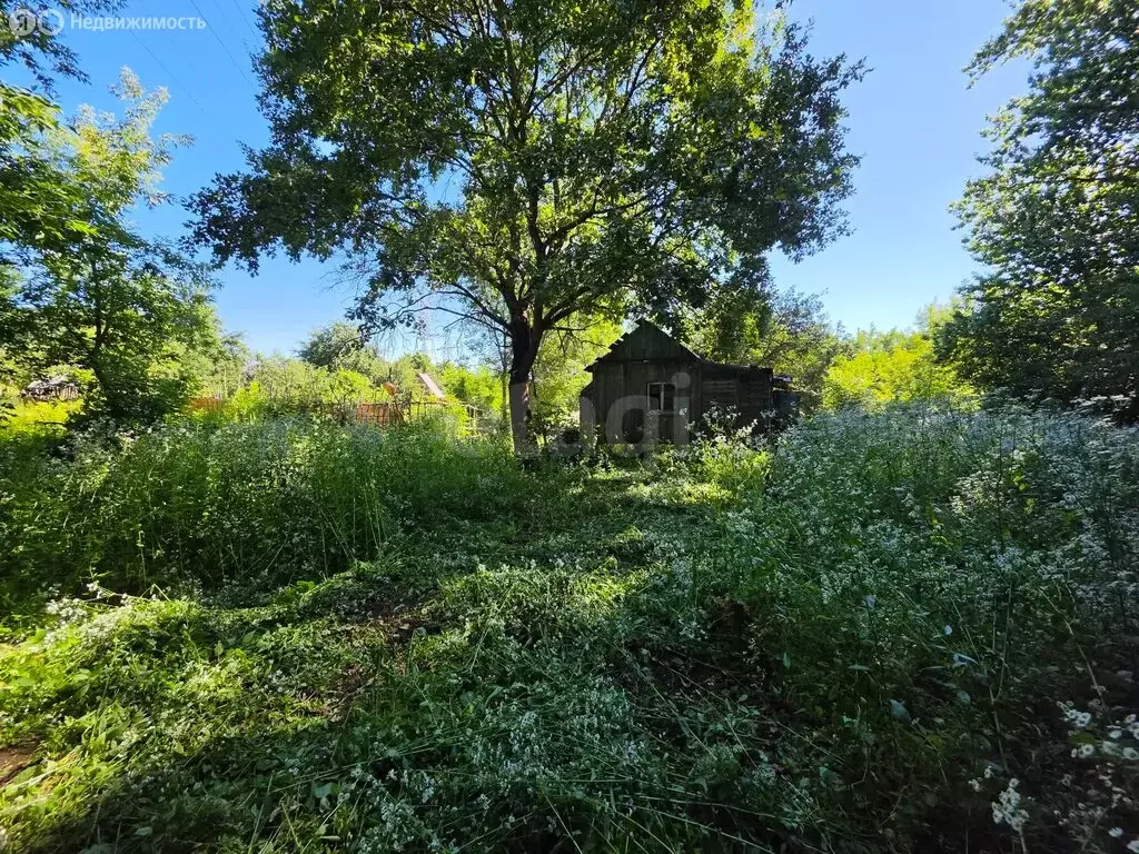 Участок в Брянск, садоводческое общество Десна-2 (5 м) - Фото 2