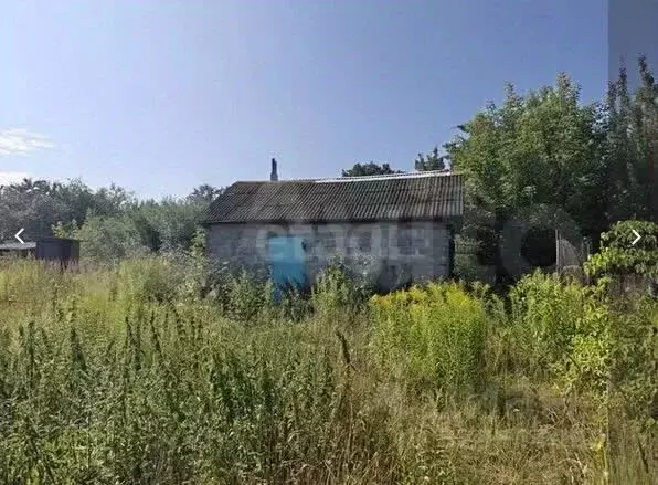 Участок в Ярославская область, Ярославский муниципальный округ, д. ... - Фото 1
