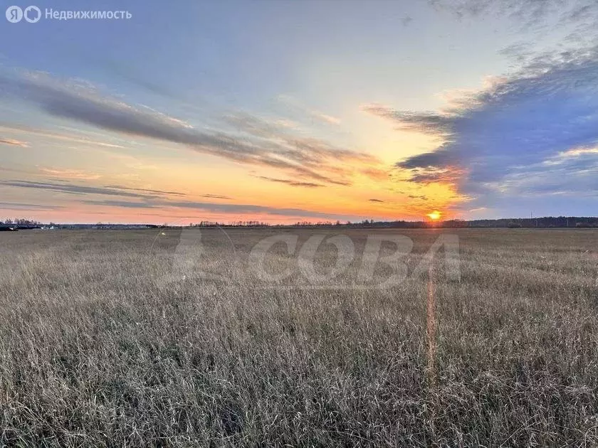 Участок в Тюменский район, деревня Елань (8 м) - Фото 1