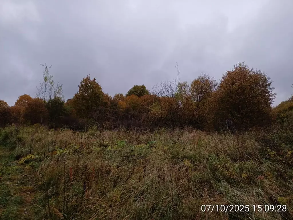 Участок в Московская область, Наро-Фоминский городской округ, д. ... - Фото 1