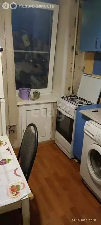 1-комнатная квартира: Воронеж, улица Героев Сибиряков, 53 (20 м) - Фото 1