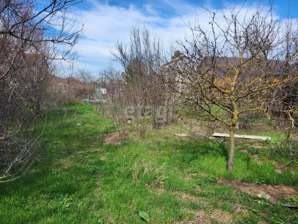 Участок в Ростовская область, Каменский район, Старостаничное с/пос, ... - Фото 1