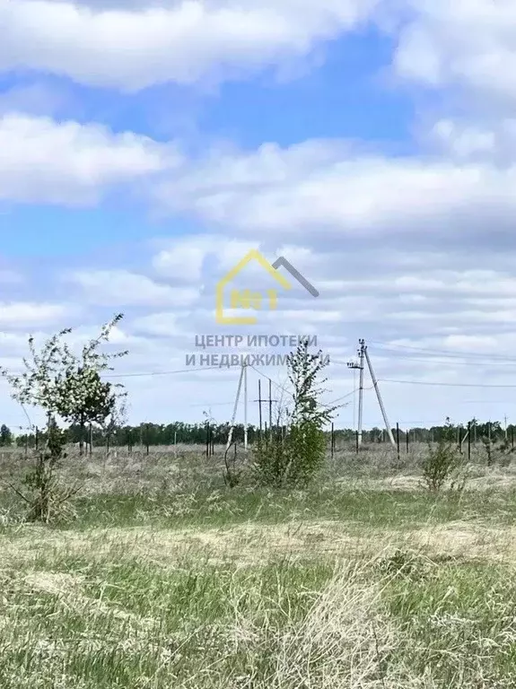Участок в Челябинская область, Красноармейский муниципальный округ, ... - Фото 2
