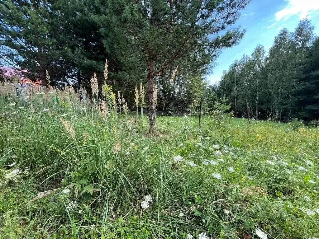 Участок в Тульская область, Алексин городской округ, д. Мясоедово  ... - Фото 0