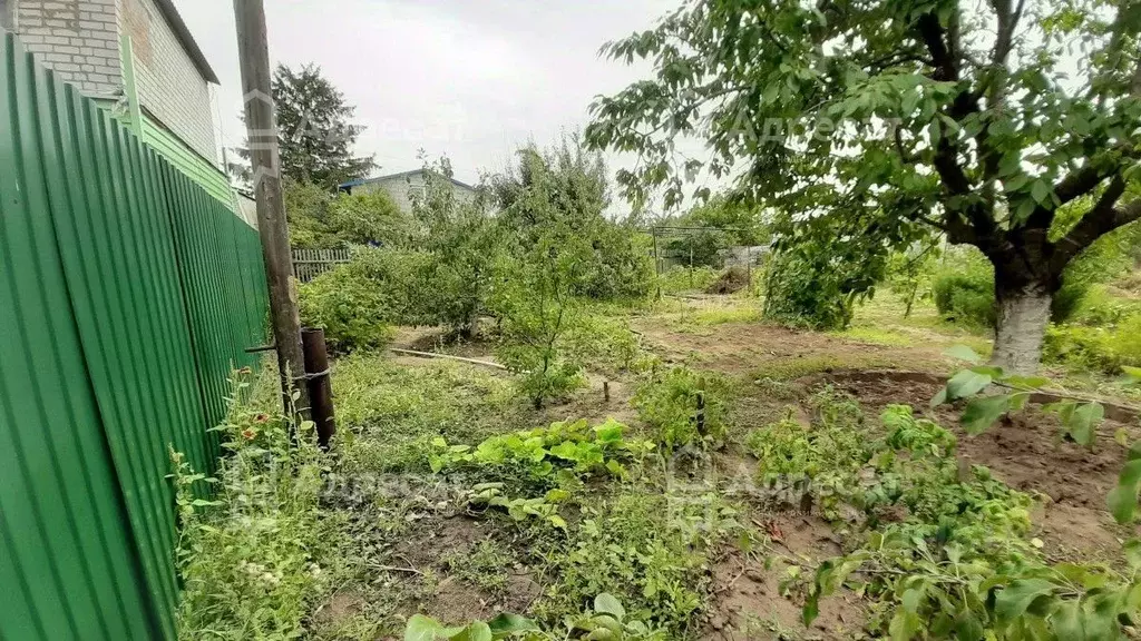 Участок в Волгоградская область, Волгоград Здоровье СНТ,  (6.27 сот.) - Фото 1