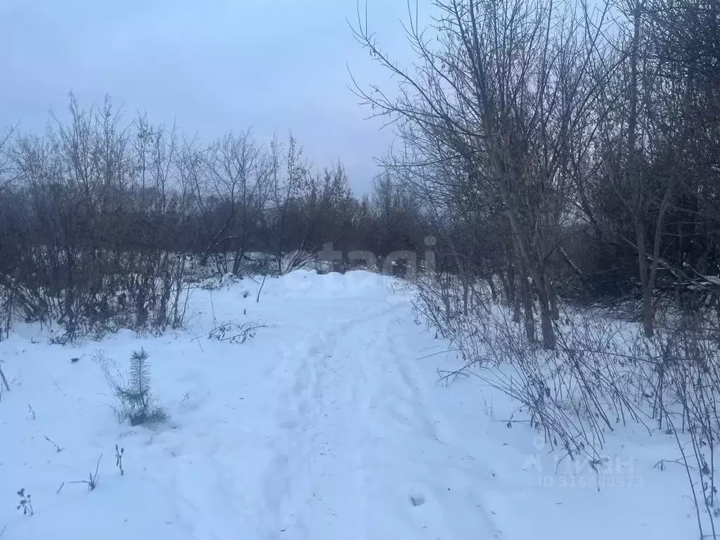 Участок в Татарстан, Зеленодольский район, Нижние Вязовые ... - Фото 0