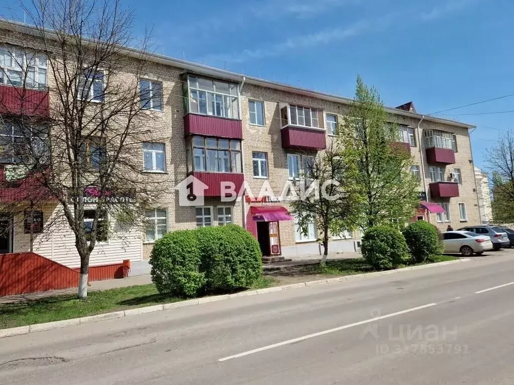Торговая площадь в Липецкая область, Данков ул. Ленина, 20 (80 м) - Фото 0