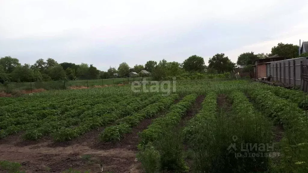 Участок в Краснодарский край, Щербиновский район, Старощербиновская ... - Фото 0