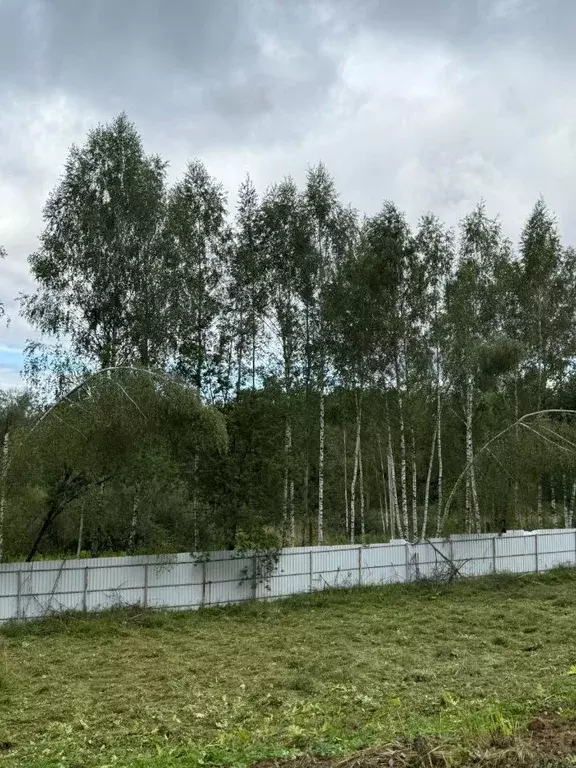 Участок в Московская область, Дмитровский муниципальный округ, д. ... - Фото 0