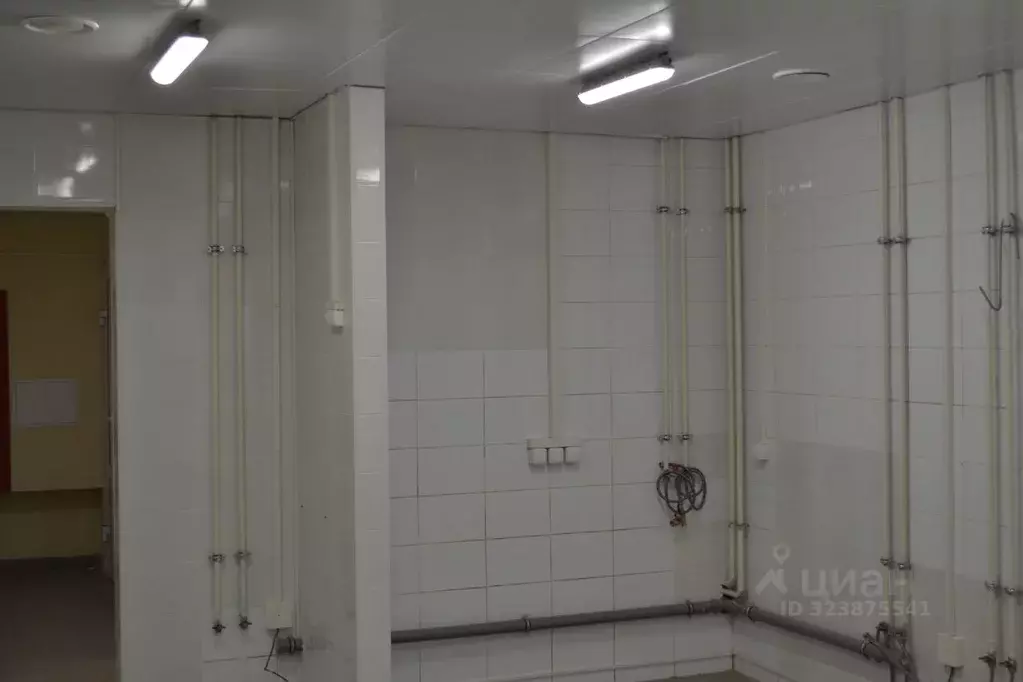 Помещение свободного назначения в Челябинская область, Челябинск ... - Фото 2