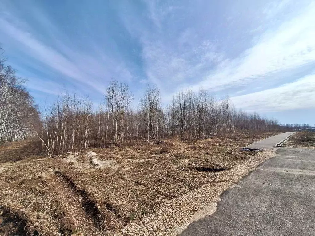 Участок в Нижегородская область, Богородский муниципальный округ, д. ... - Фото 1