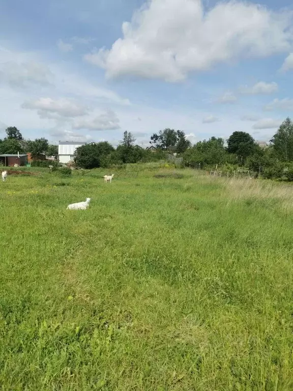 Участок в Московская область, Коломна городской округ, д. Молитвино  ... - Фото 1