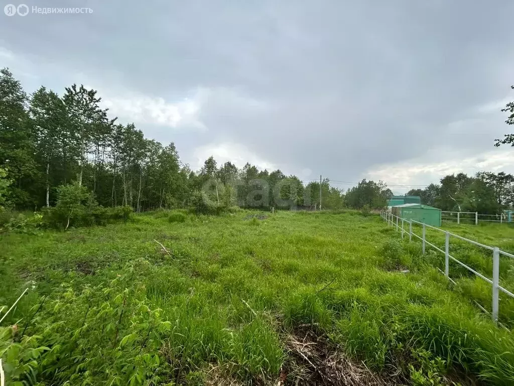 Участок в Елизовский район, СНТ Мелиоратор-2 треста Камчатскводстрой ... - Фото 1