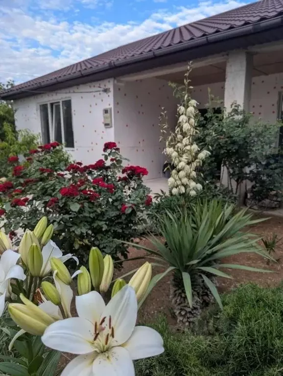Дом в Севастополь Балаклавский муниципальный округ, Союз ТСН,  (145 м) - Фото 2