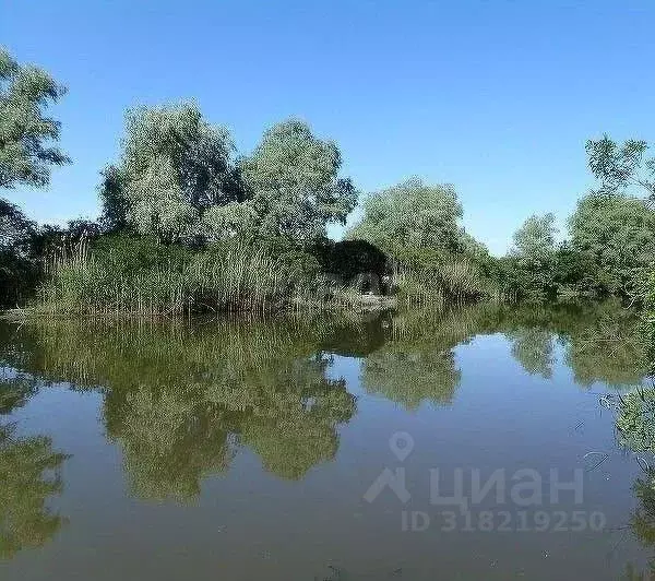 Участок в Ростовская область, Аксайский район, Старочеркасская ст-ца ... - Фото 1