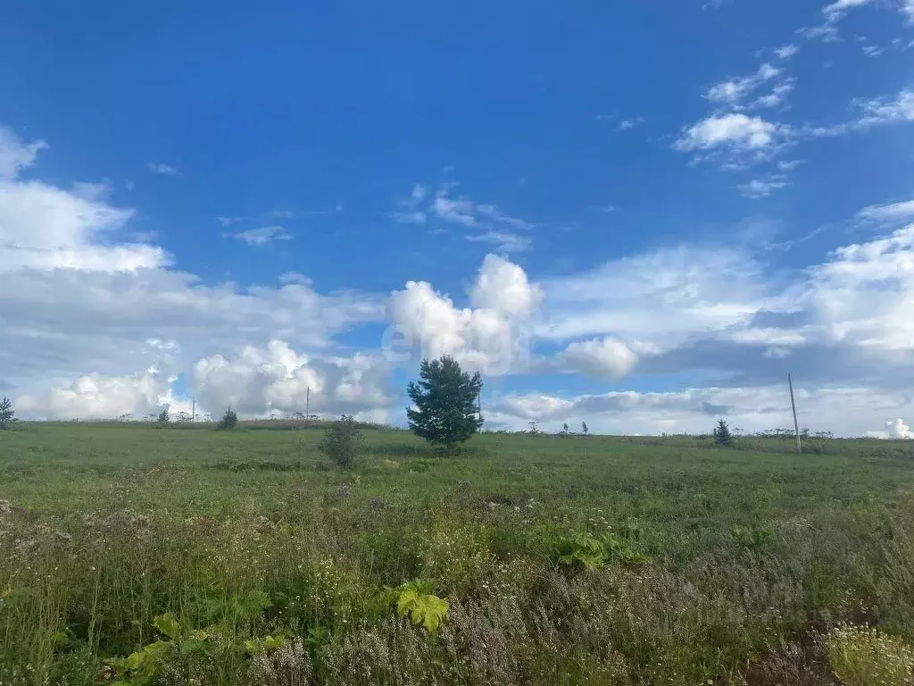 Участок в Пермский край, Добрянский городской округ, д. Залесная  (7.6 ... - Фото 0