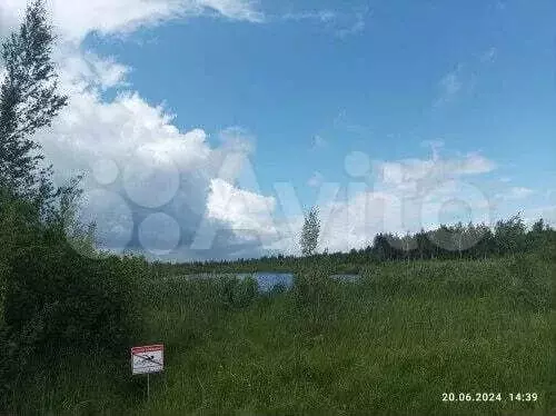 Участок 16 сот. (ИЖС) - Фото 1