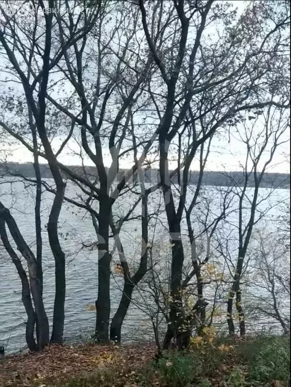 Участок в Воронеж, улица Волкова (6.97 м) - Фото 2