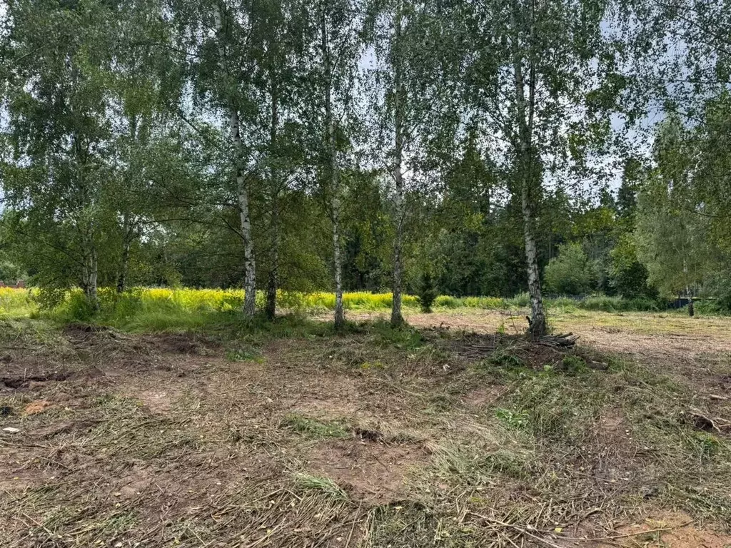 Участок в Московская область, Красногорск городской округ, д. ... - Фото 1