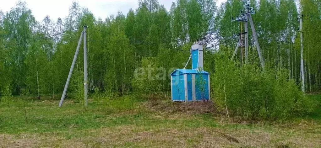 Участок в Нижегородская область, Богородский муниципальный округ, д. ... - Фото 1