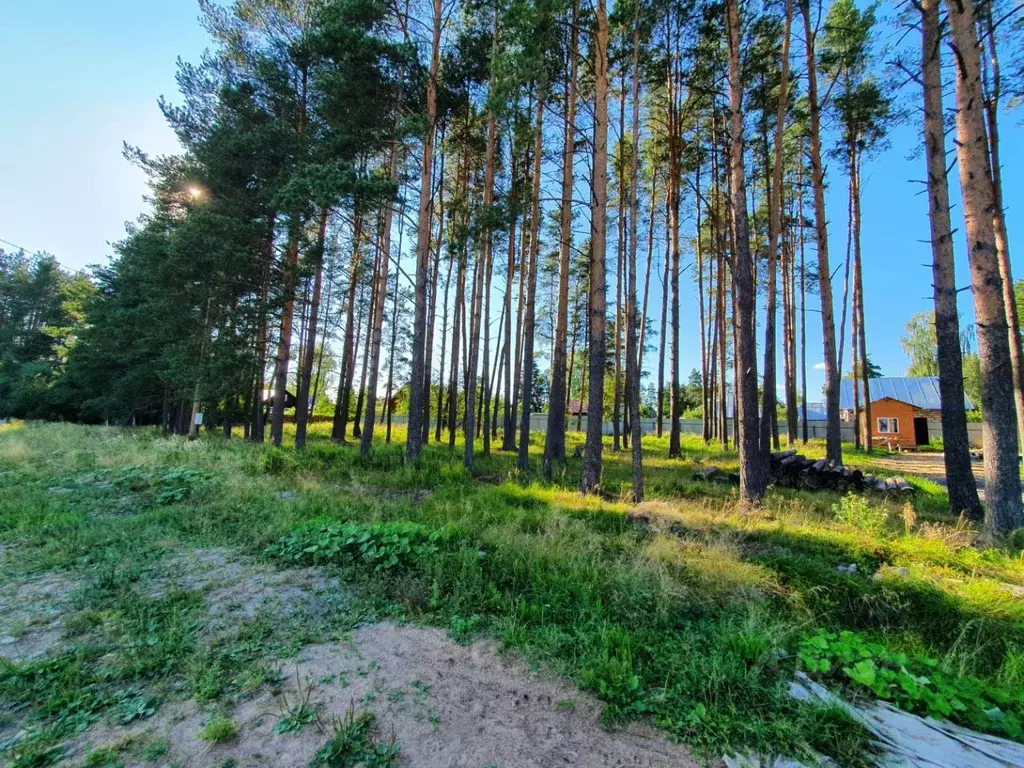 Участок в Ленинградская область, Гатчинский район, Вырица городской ... - Фото 1