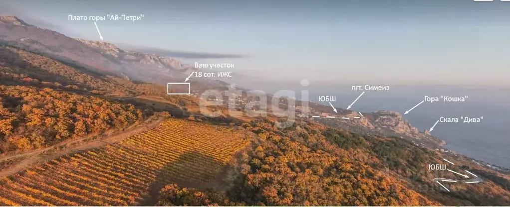 Участок в Крым, Ялта муниципальный округ, Голубой Залив пгт ул. ... - Фото 1