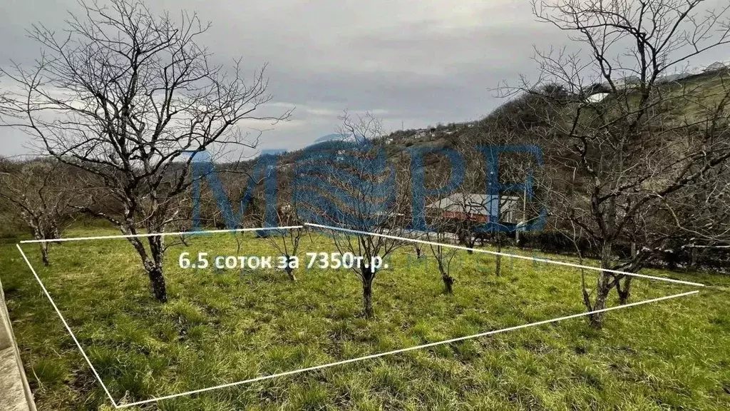 Участок в Краснодарский край, Сочи Чаевод СНТ, 56 (6.5 сот.) - Фото 1