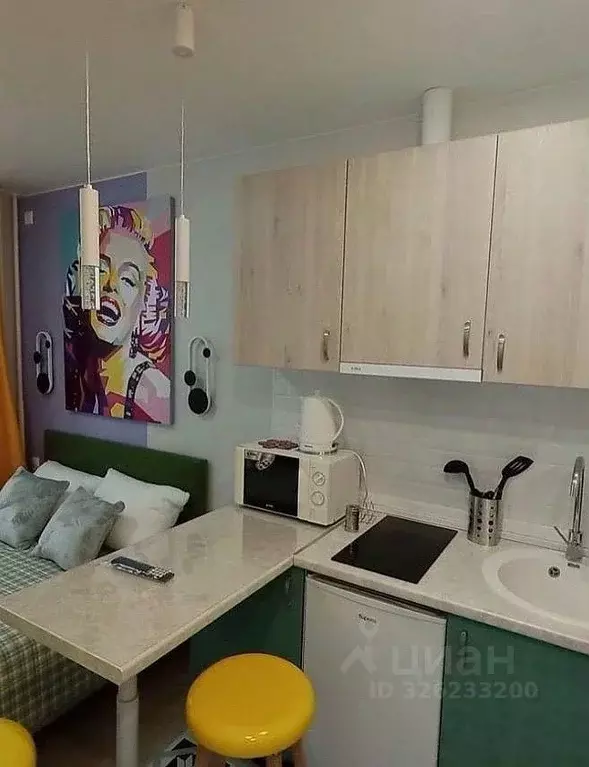 Студия Московская область, Одинцовский городской округ, Новоивановское ... - Фото 2