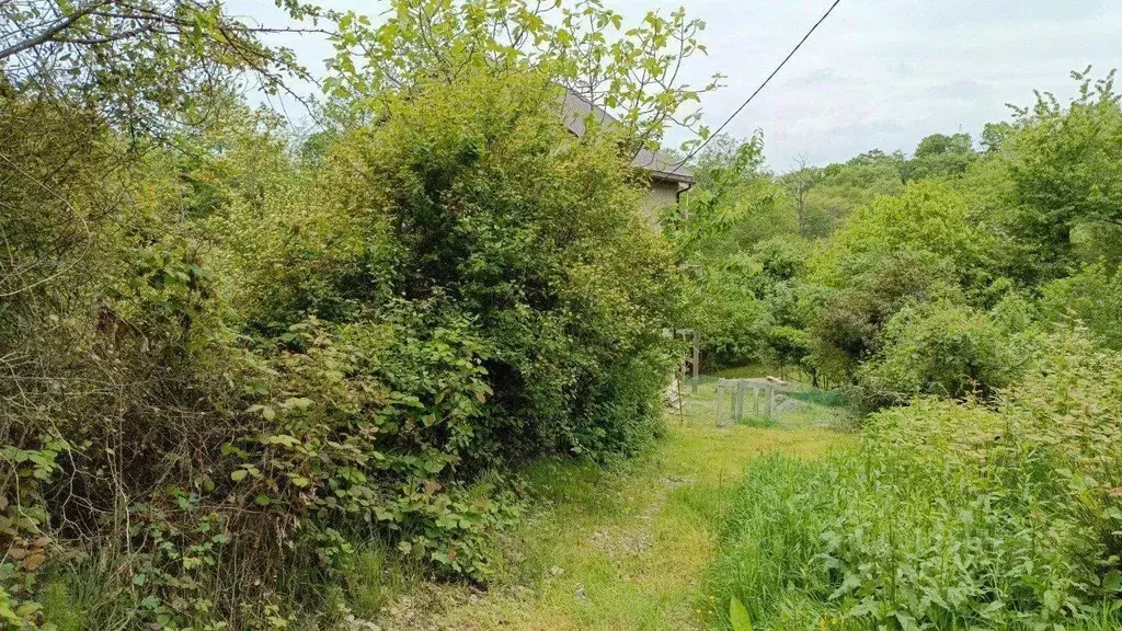 Участок в Краснодарский край, Сочи Долина СТ,  (4.0 сот.) - Фото 2