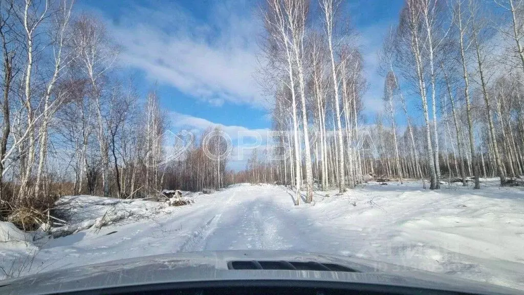 Участок в Тюменская область, Нижнетавдинский район, Строитель ТСН 786 ... - Фото 0