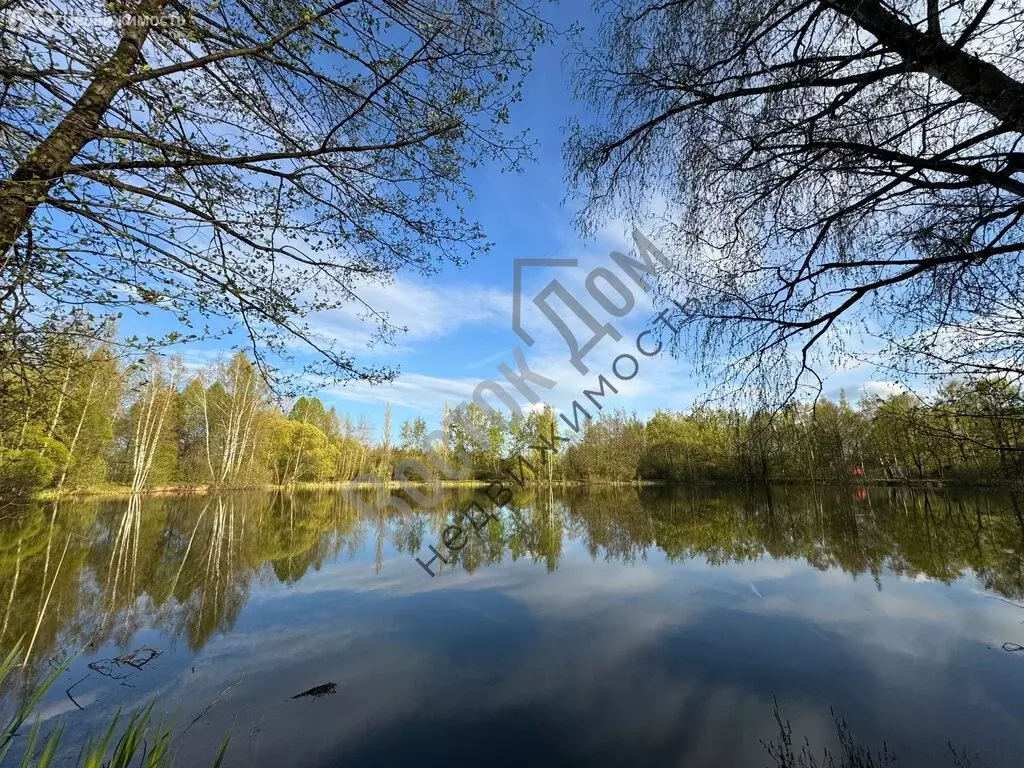 Участок в Богородский городской округ, СНТ Мир, 210 (6.7 м) - Фото 2