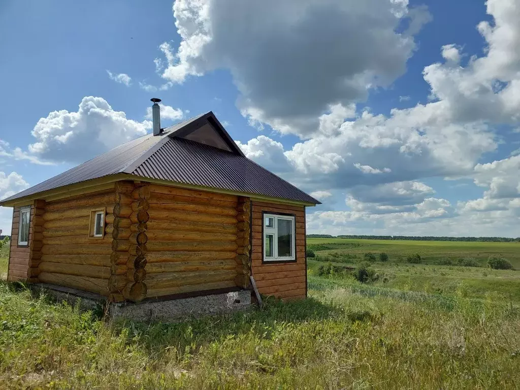 Участок в Татарстан, Арский район, Старочурилинское с/пос, д. ... - Фото 1