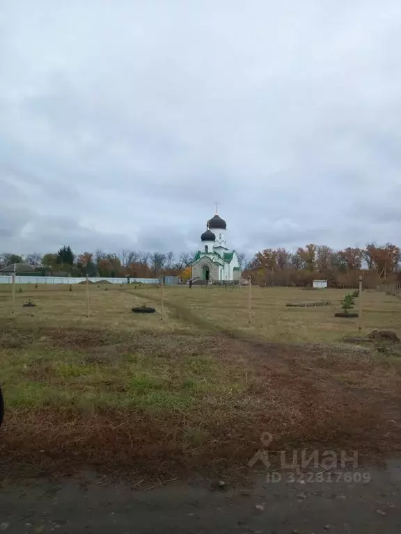 Участок в Воронежская область, Каширский район, Дзержинское с/пос, ... - Фото 2