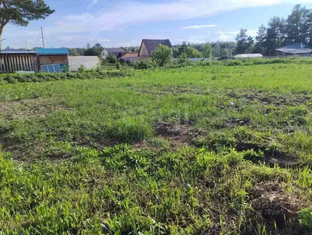 Дом в Тюменская область, с. Нижняя Тавда ул. Тюменская (47 м) - Фото 1