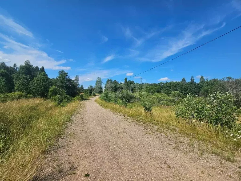 Участок в Псковская область, Струги Красные рп  (15.0 сот.) - Фото 2