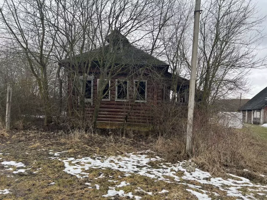 Участок в Владимирская область, Судогодский район, Муромцевское ... - Фото 1