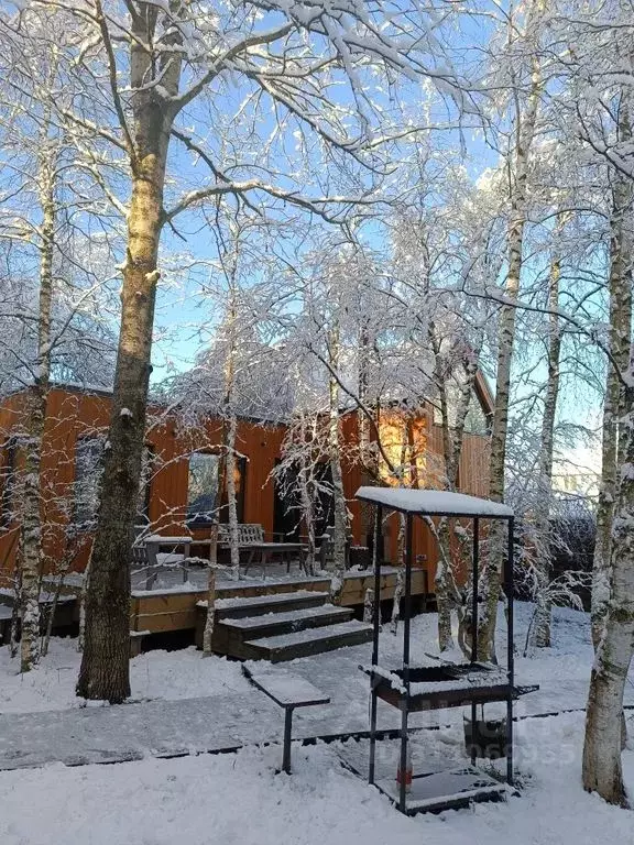 Дом в Санкт-Петербург Горелово тер., ул. Ломоносова, 21с1 (36 м) - Фото 1