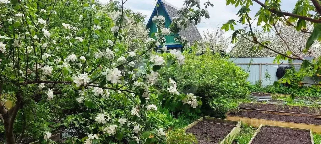 Дом в Тюменская область, Тюмень Ягодное СНТ,  (60 м) - Фото 1