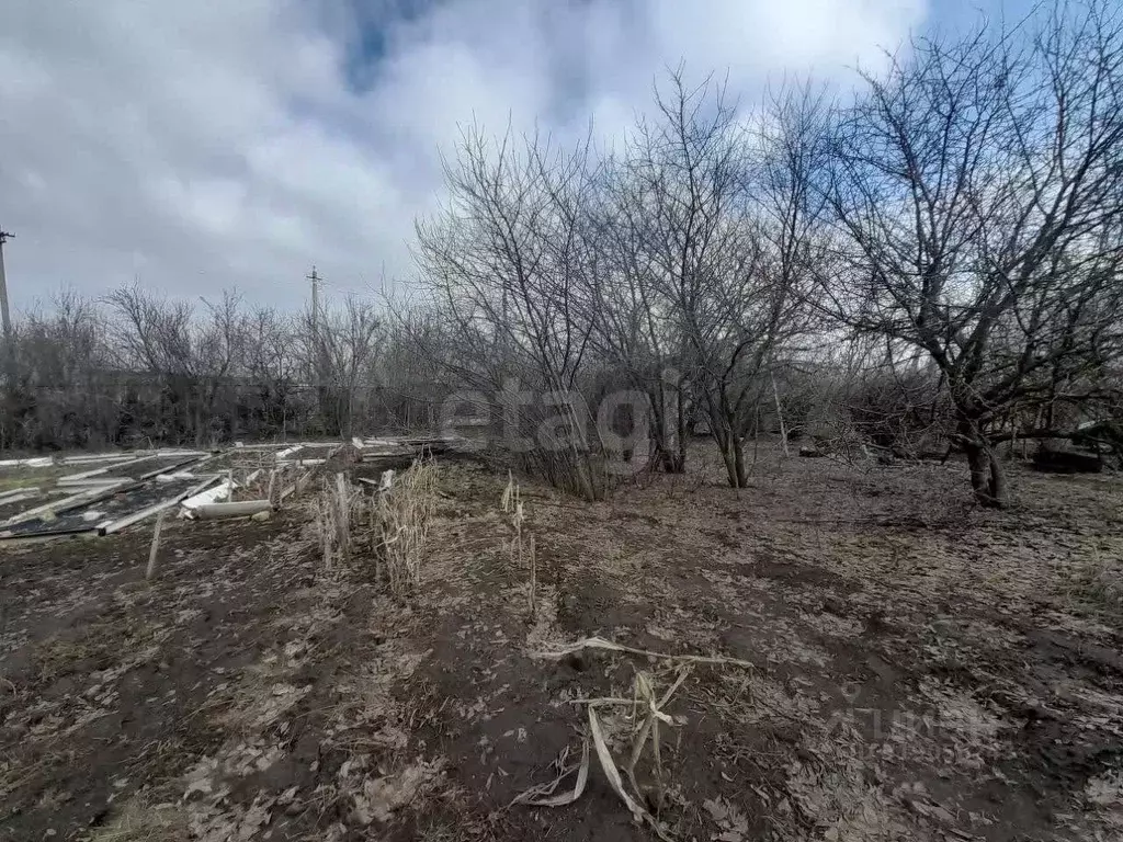 Участок в Саратовская область, Балашовский район, Хоперское ... - Фото 1