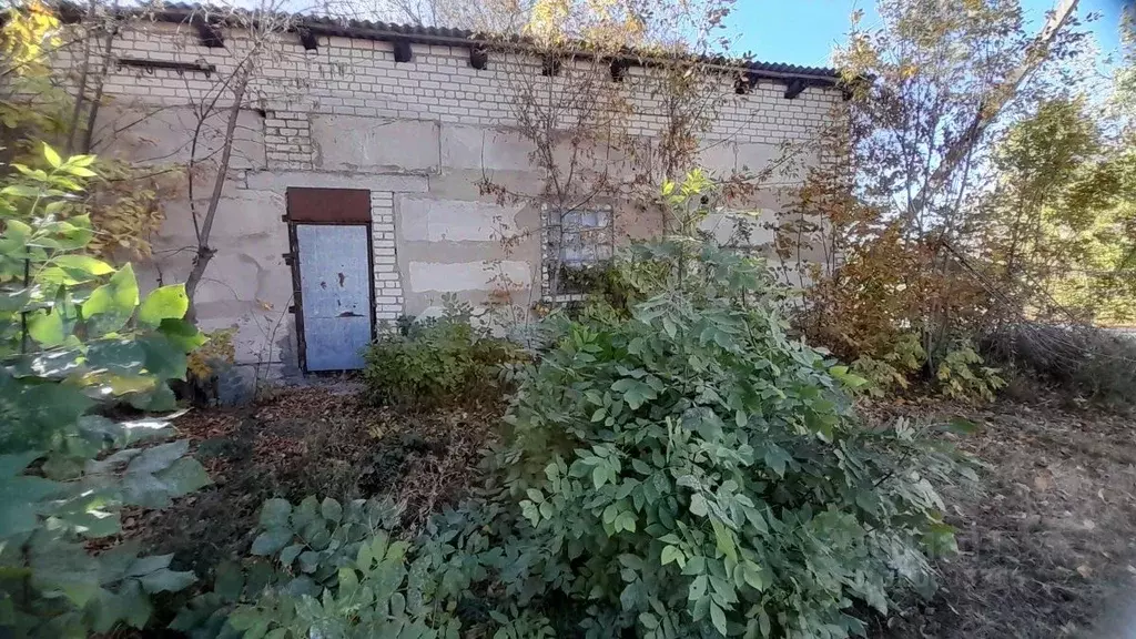 Помещение свободного назначения в Волгоградская область, Михайловский ... - Фото 1