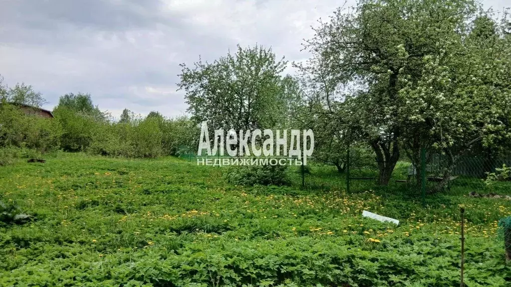 Участок в Ленинградская область, Выборгский район, Полянское с/пос, ... - Фото 1