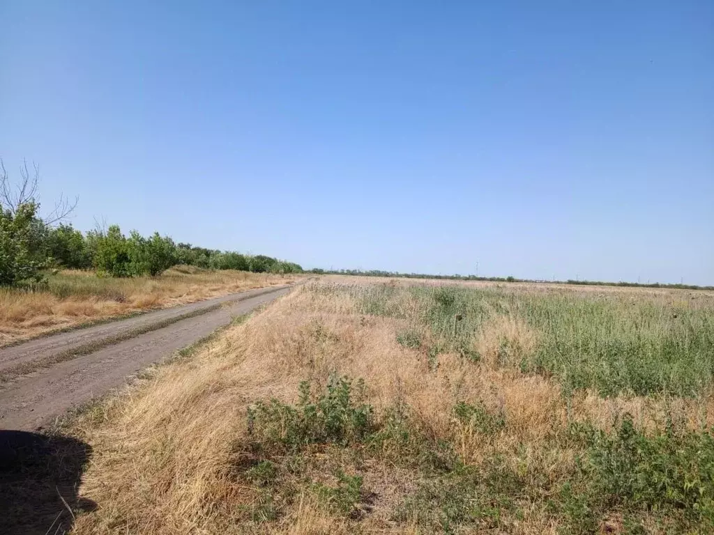 Участок в Краснодарский край, Ейск Южное СНТ, ул. 7-я (6.0 сот.) - Фото 1