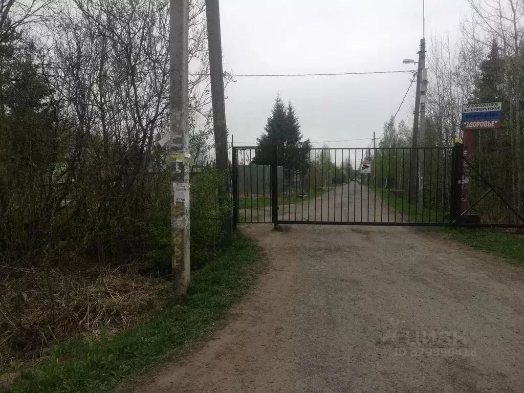 Участок в Ленинградская область, Любань Тосненский район, ул. Карла ... - Фото 2